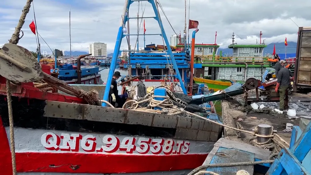 Dây thừng con Gà- Đồng hành cùng ngư dân trong những chuyến vươn khơi- Ảnh 5. Dây thừng con Gà- Đồng hành cùng ngư dân trong những chuyến vươn khơi- Ảnh 5.