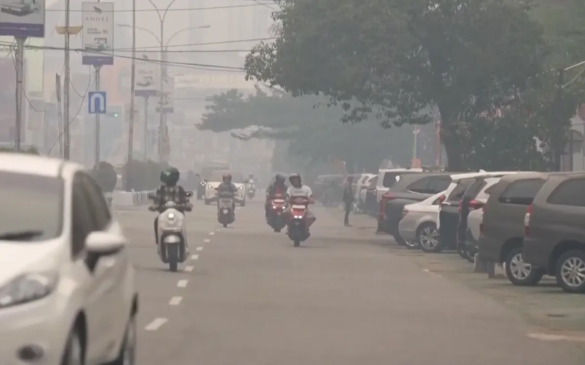 (Ảnh chụp màn hình)