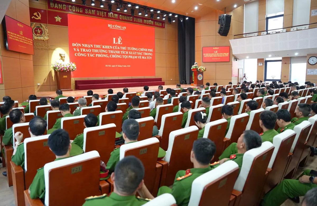 Triệt ph&aacute; đường d&acirc;y ma t&uacute;y kỷ lục tr&ecirc;n biển- Ảnh 3.