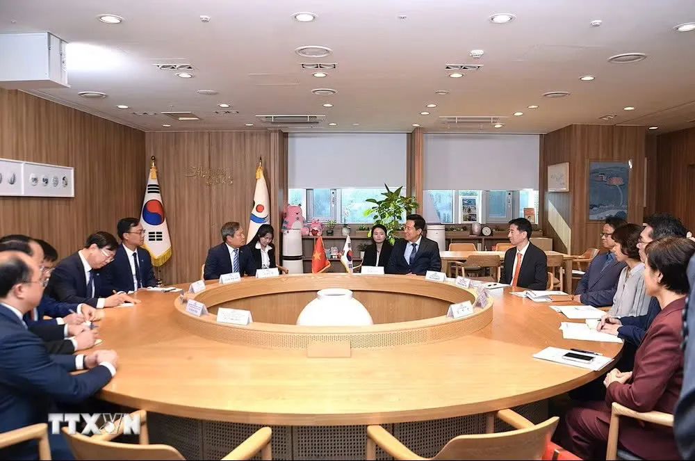 Hà Nội và Seoul thúc đẩy hợp tác song phương chiến lược - Ảnh 2.