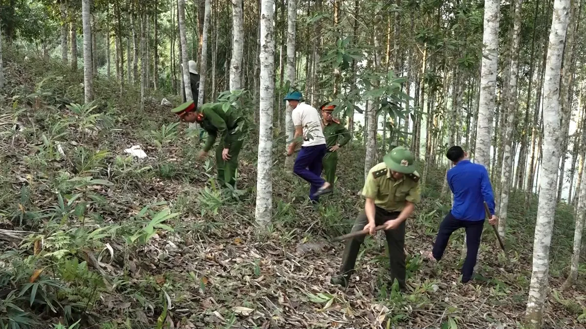 Bám rừng, giữ màu xanh đại ngàn - Ảnh 8.