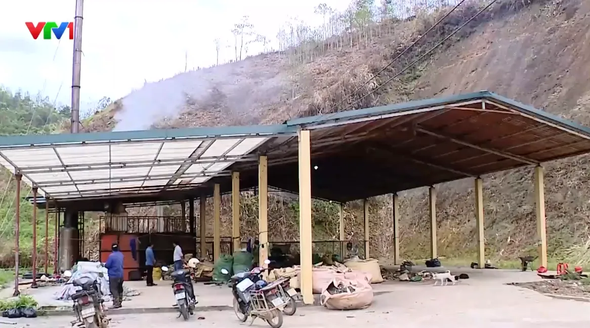 Nhiều cây trồng ở Thái Nguyên bị chết vì sự cố nhà máy đốt rác - Ảnh 2.