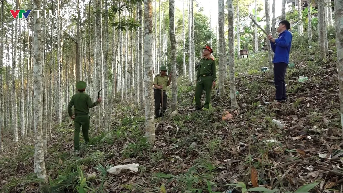 Bám rừng, giữ màu xanh đại ngàn - Ảnh 5.