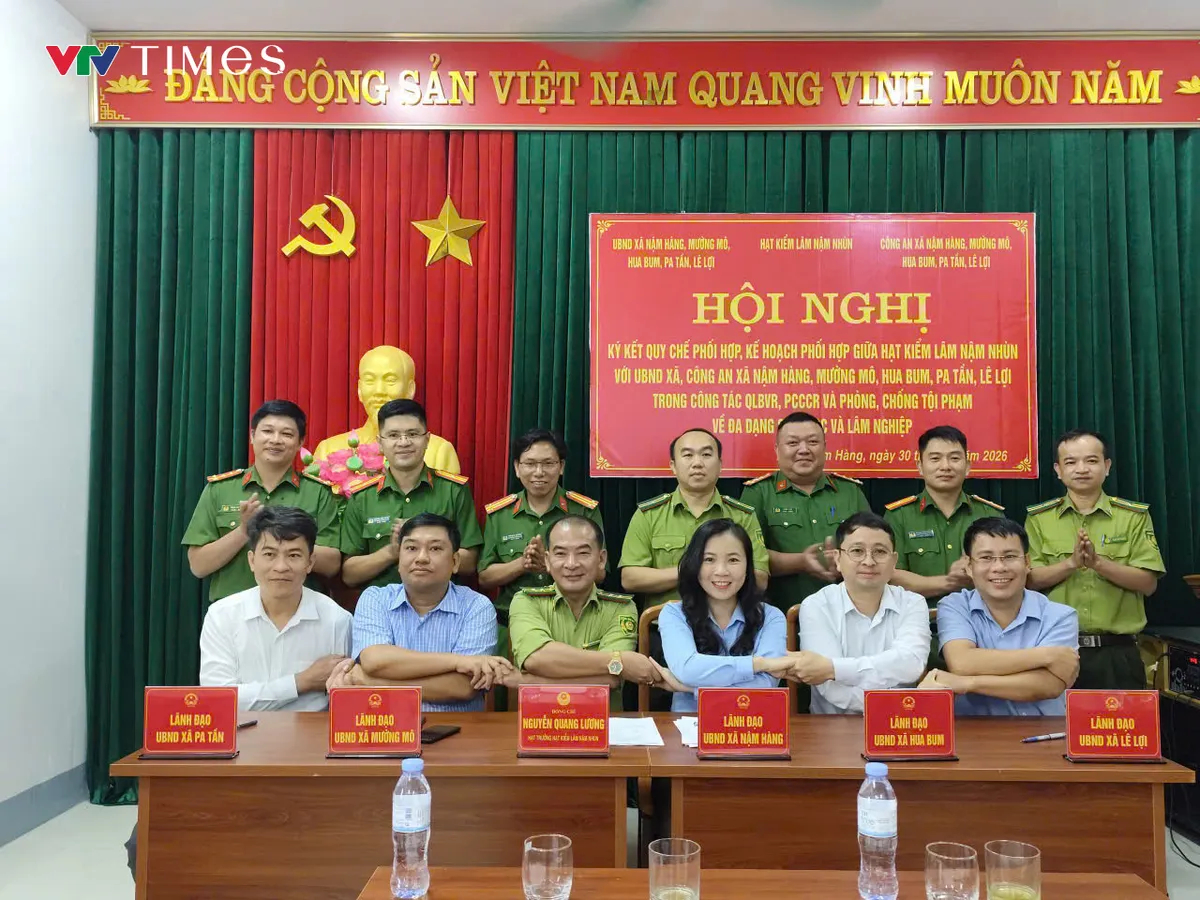 Bám rừng, giữ màu xanh đại ngàn - Ảnh 6.