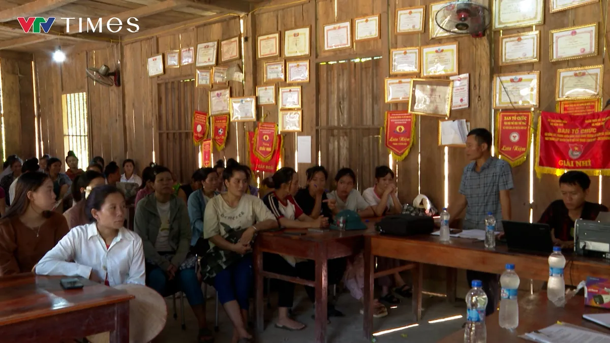 Bám rừng, giữ màu xanh đại ngàn - Ảnh 1.