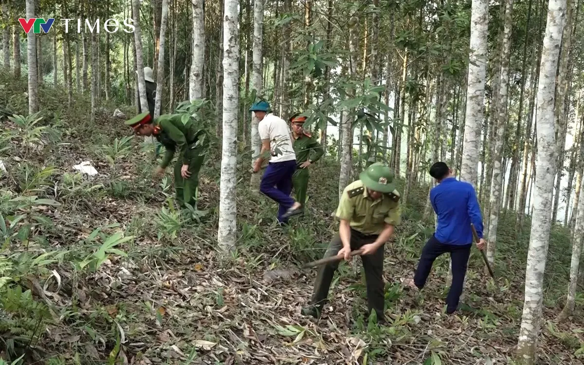Lực lượng Kiểm lâm phối hợp cùng Công an và chính quyền địa phương phát dọn thực bì, làm đường băng cản lửa phòng cháy, chữa cháy rừng. Ảnh: Thanh Hà