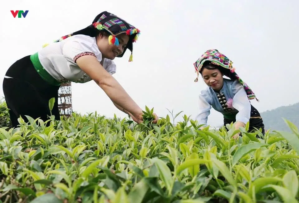 Nghị quyết 26-NQ/TW – Cú hích để Lai Châu “đánh thức” giá trị du lịch - Ảnh 9.