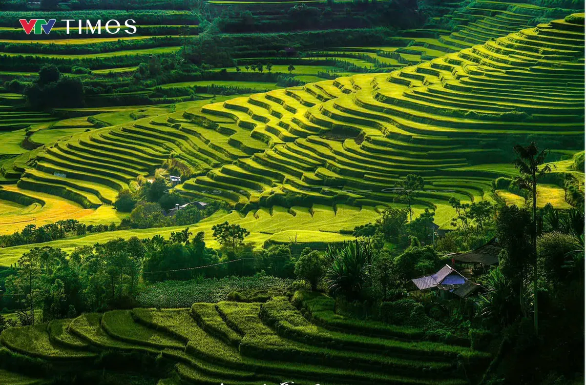 Nghị quyết 26-NQ/TW – Cú hích để Lai Châu “đánh thức” giá trị du lịch - Ảnh 7.