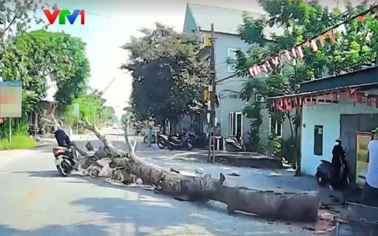 Ảnh chụp màn hình.