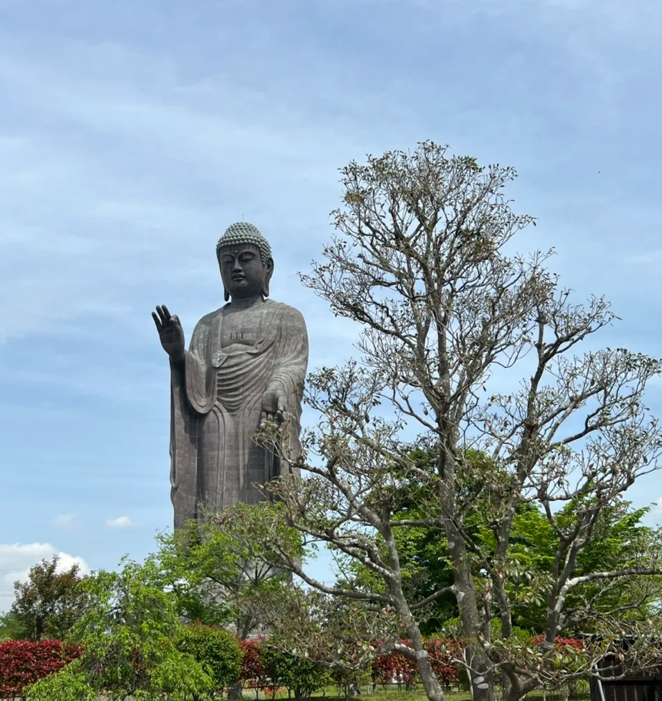 Ushiku Daibutsu - tìm lại khoảng lặng giữa Nhật Bản - Ảnh 6.