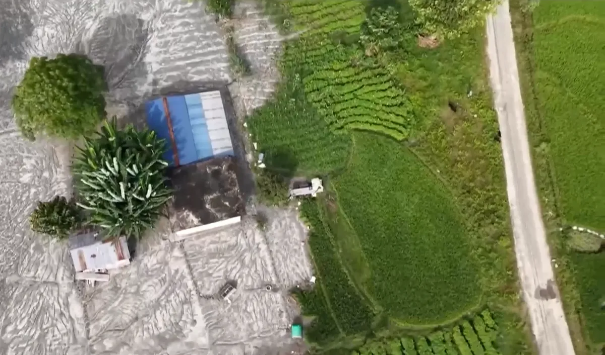 FAO hỗ trợ Nepal kh&ocirc;i phục sản xuất n&ocirc;ng nghiệp- Ảnh 1.