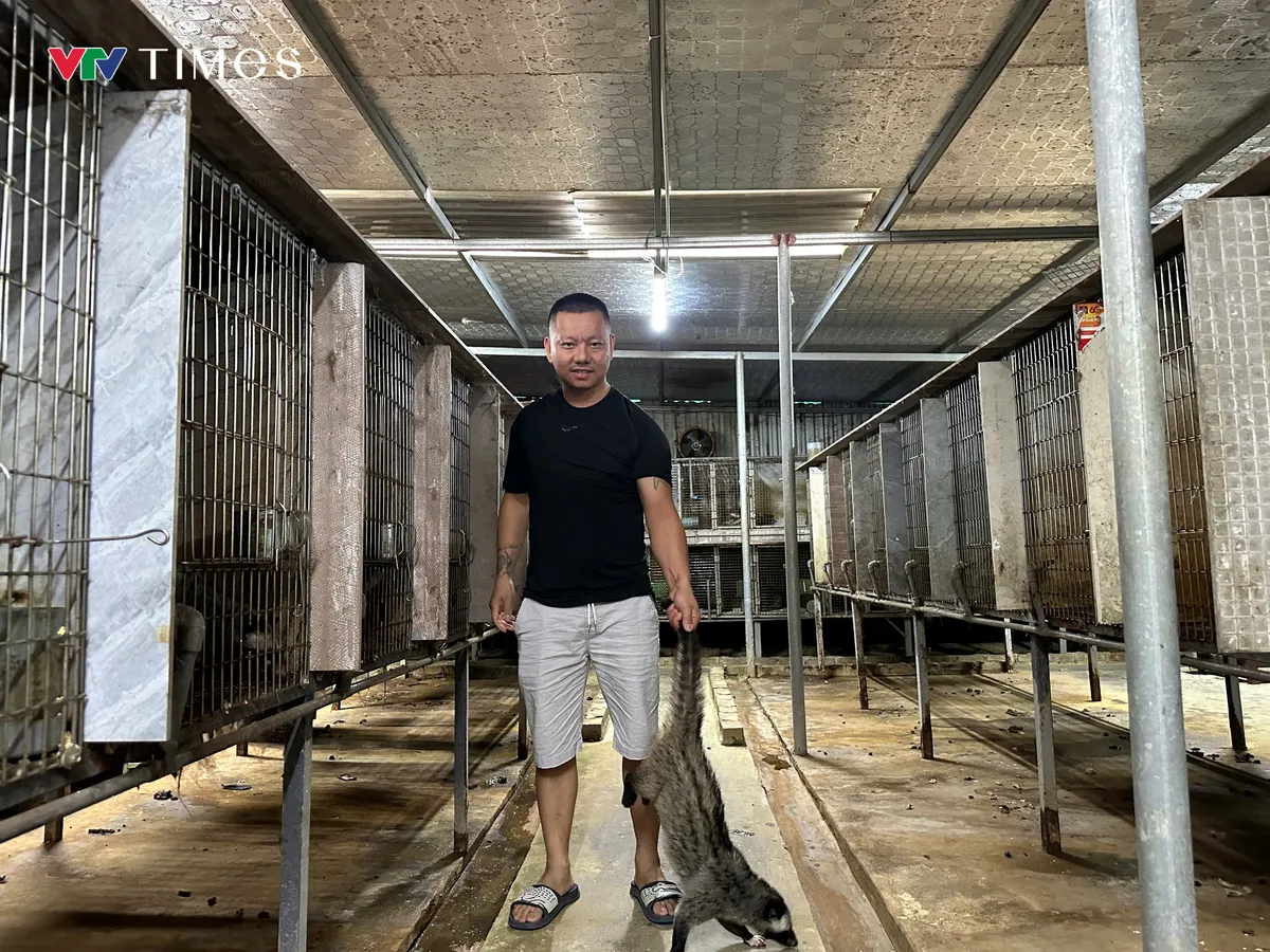 Anh nông dân đứng dậy sau thất bại, thu tiền tỷ mỗi năm từ mô hình nuôi chồn hương - Ảnh 3.