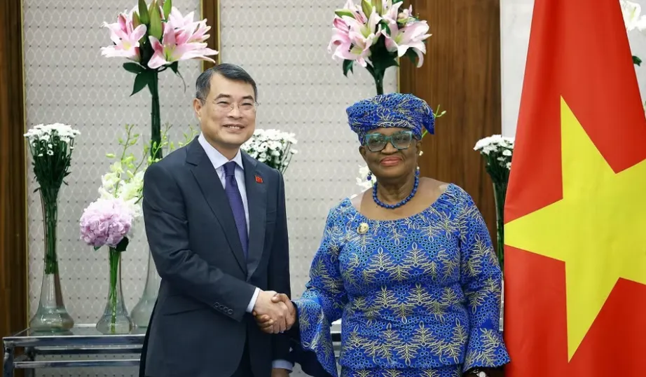 Việt Nam luôn tham gia tích cực vào các chương trình nghị sự của WTO - Ảnh 1.