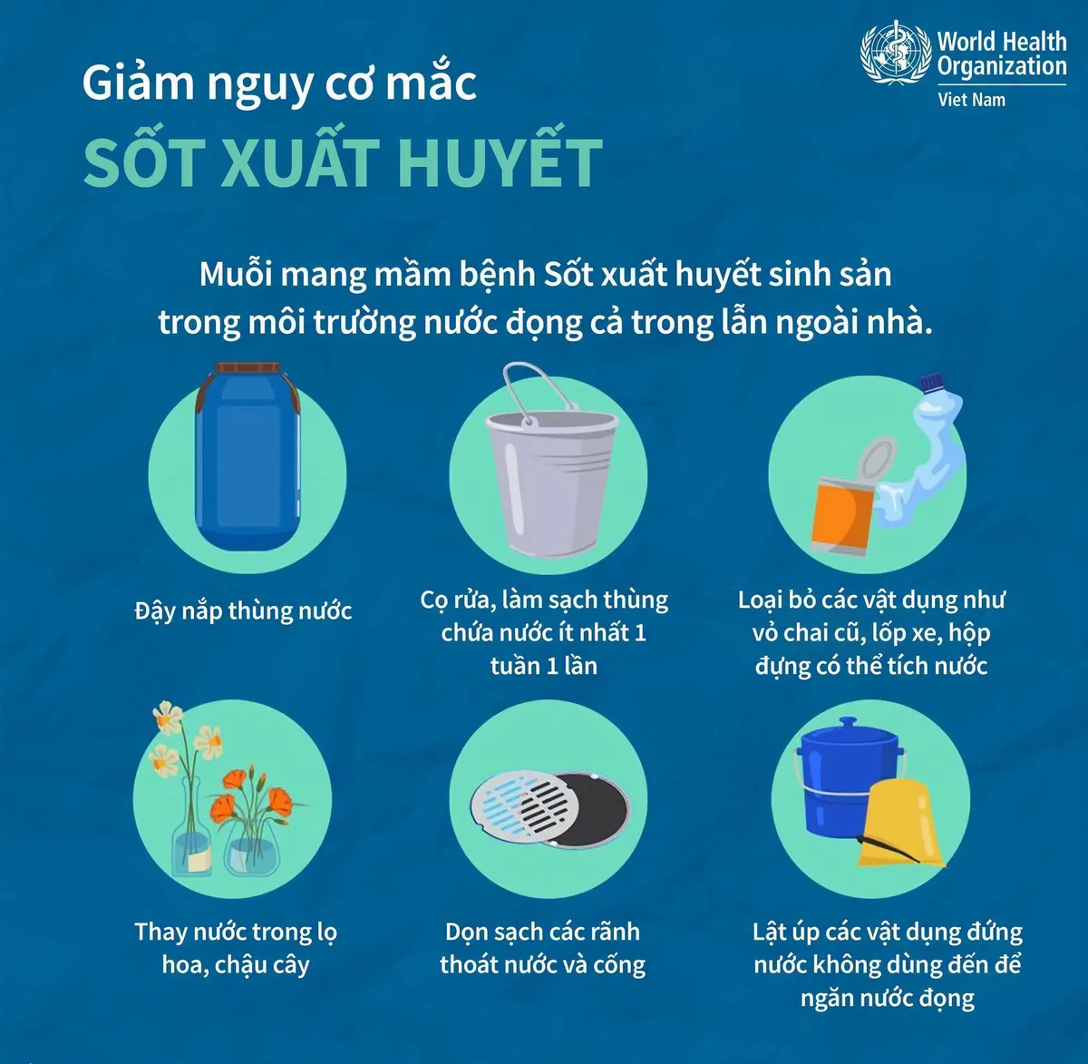 Giảm nguy cơ mắc sốt xuất huyết trong cộng đồng- Ảnh 1.