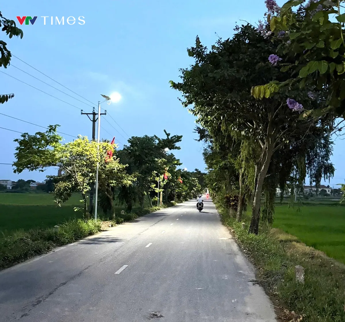 Ninh Bình: Những ánh đèn nghĩa tình trên đường quê Hiển Khánh - Ảnh 4.