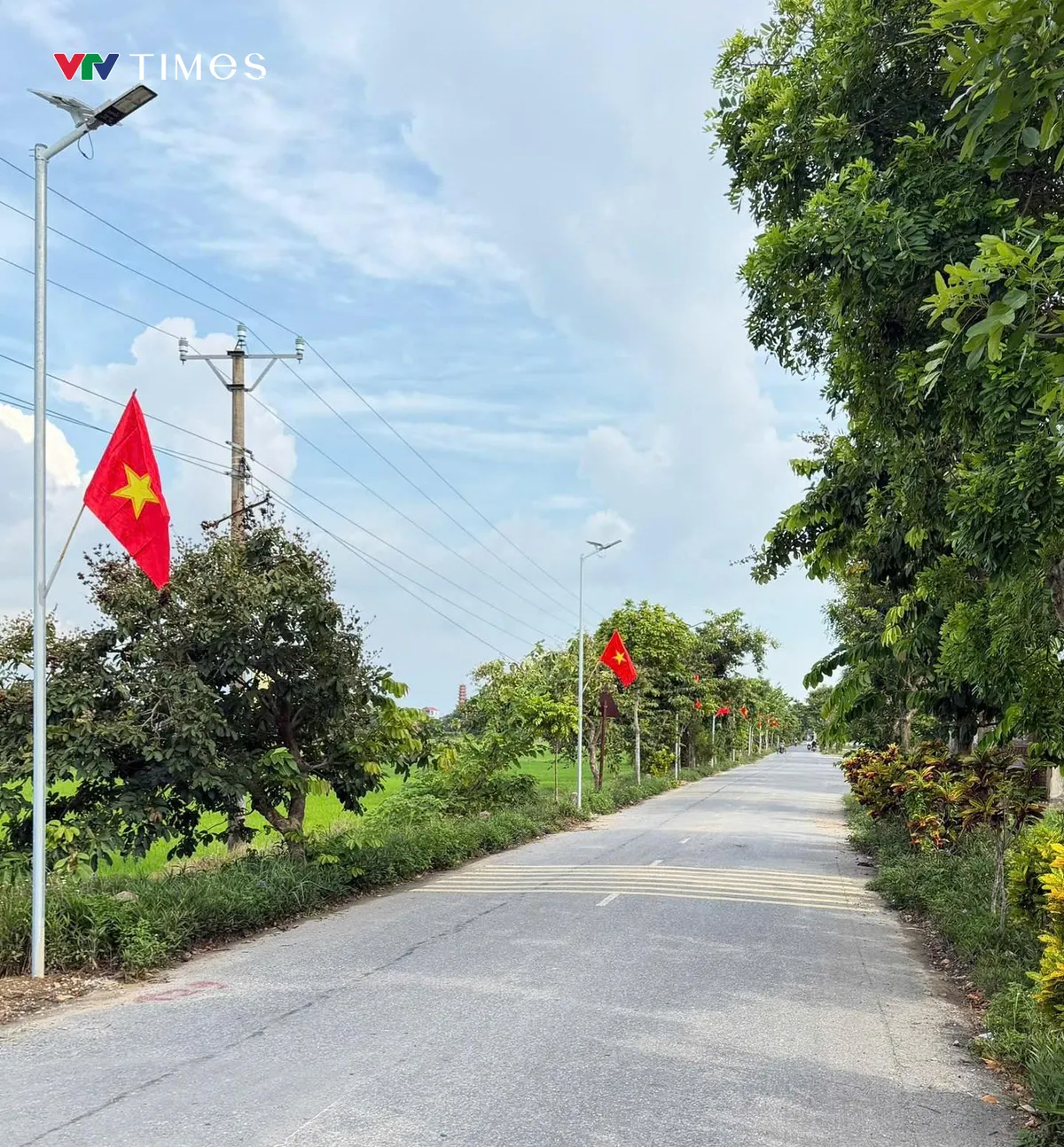 Ninh Bình: Những ánh đèn nghĩa tình trên đường quê Hiển Khánh - Ảnh 6.