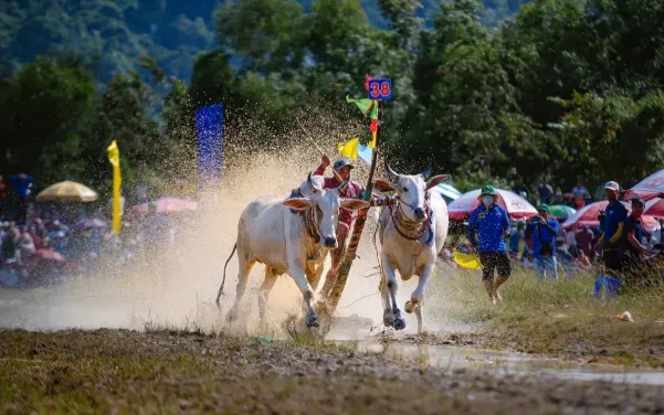 Hình ảnh ấn tượng của chị Thúy Ngọc trong giải đua trước đây. (Ảnh: Chụp màn hình)