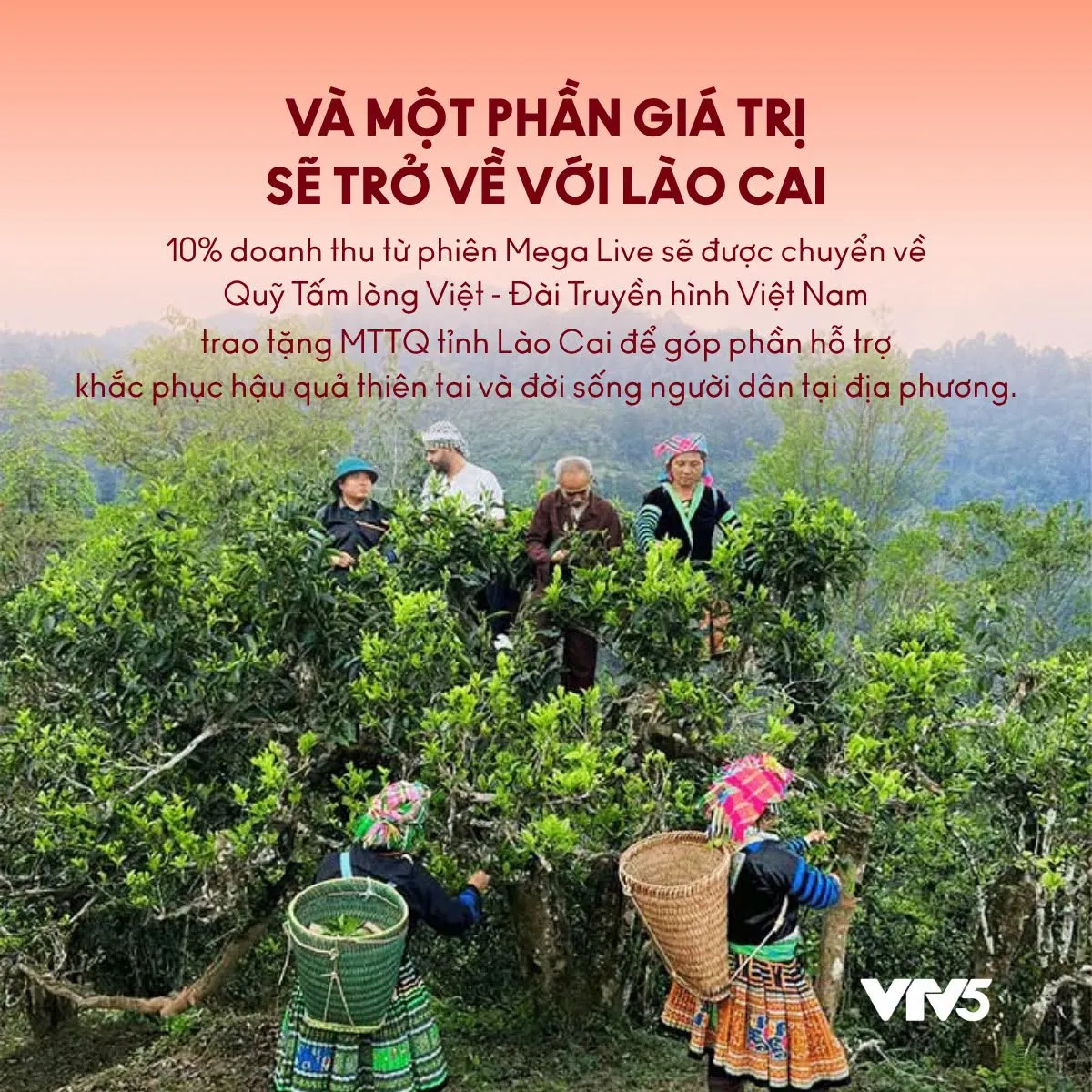 Mega Livestream “Mỹ vị Lào Cai” của VTV5: Hơn 2.000 sản phẩm được bán - Ảnh 5.
