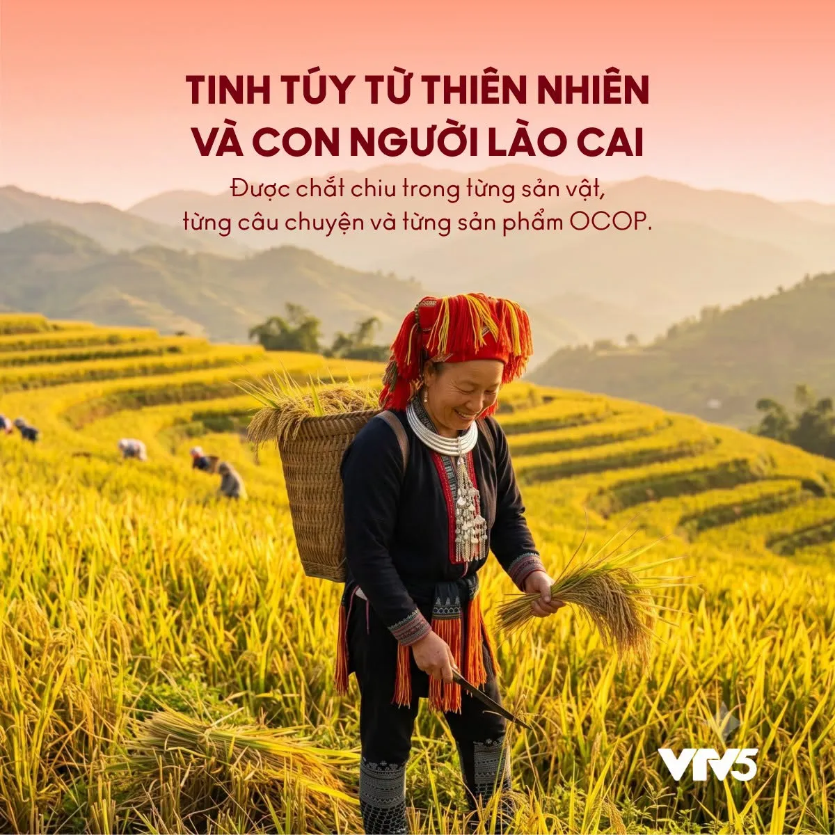Mega Livestream “Mỹ vị Lào Cai” của VTV5: Hơn 2.000 sản phẩm được bán - Ảnh 1.