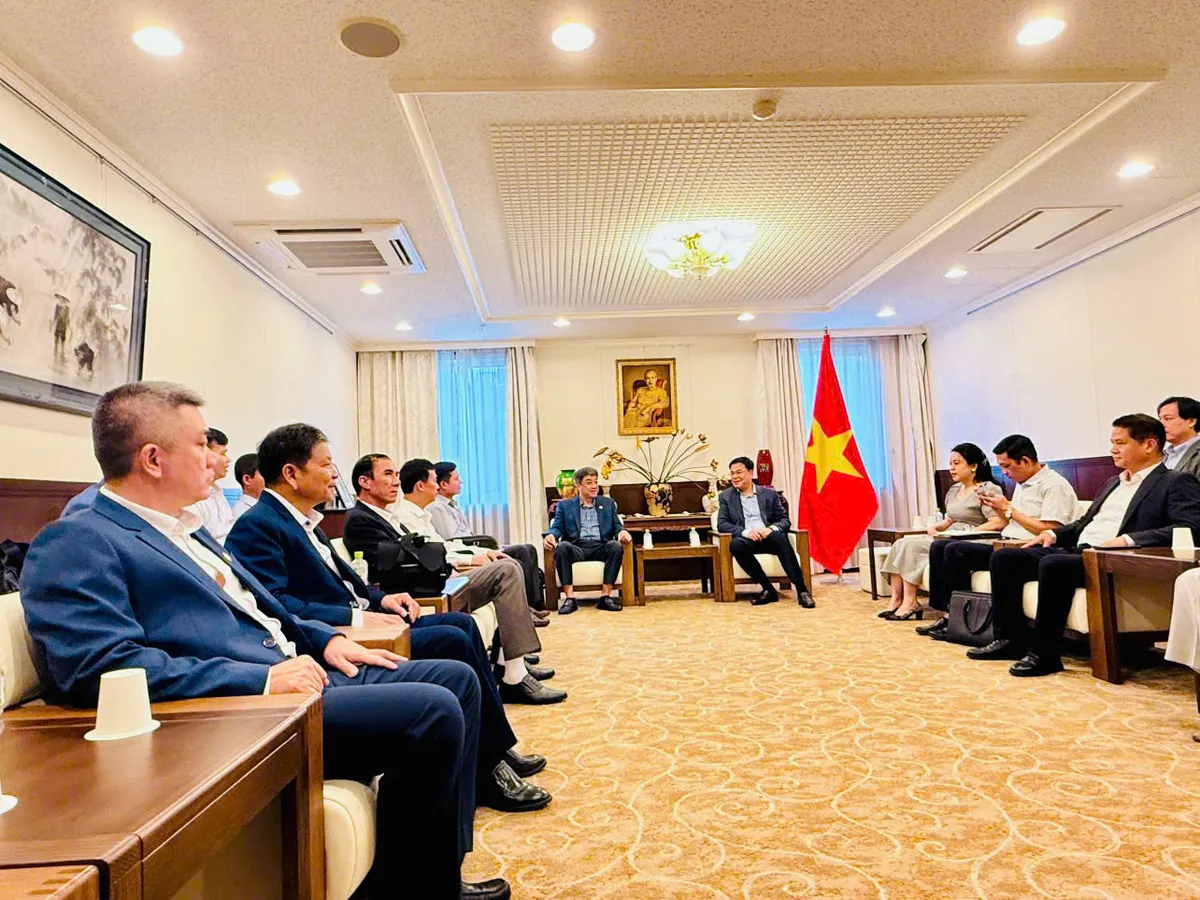 Đắk Lắk tăng cường xúc tiến, mời gọi đầu tư từ Nhật Bản - Ảnh 1.