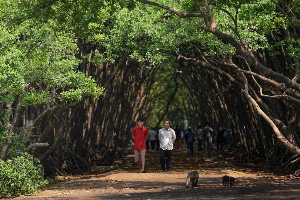 TP Hồ Chí Minh phát huy giá trị văn hoá, nâng sức hút cho du lịch - Ảnh 3.