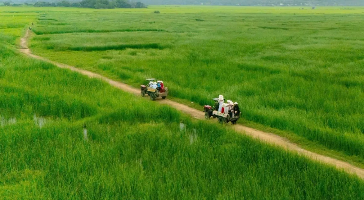 Khi du khách tìm về đời sống bản địa- Ảnh 5.