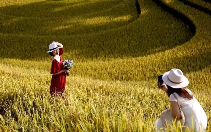 Du khách từ khắp nơi đổ về, háo hức ghi lại những khoảnh khắc đáng nhớ và đắm mình trong vẻ đẹp của mùa lúa chín ở Mù Cang Chải. Ảnh: TTXVN 
