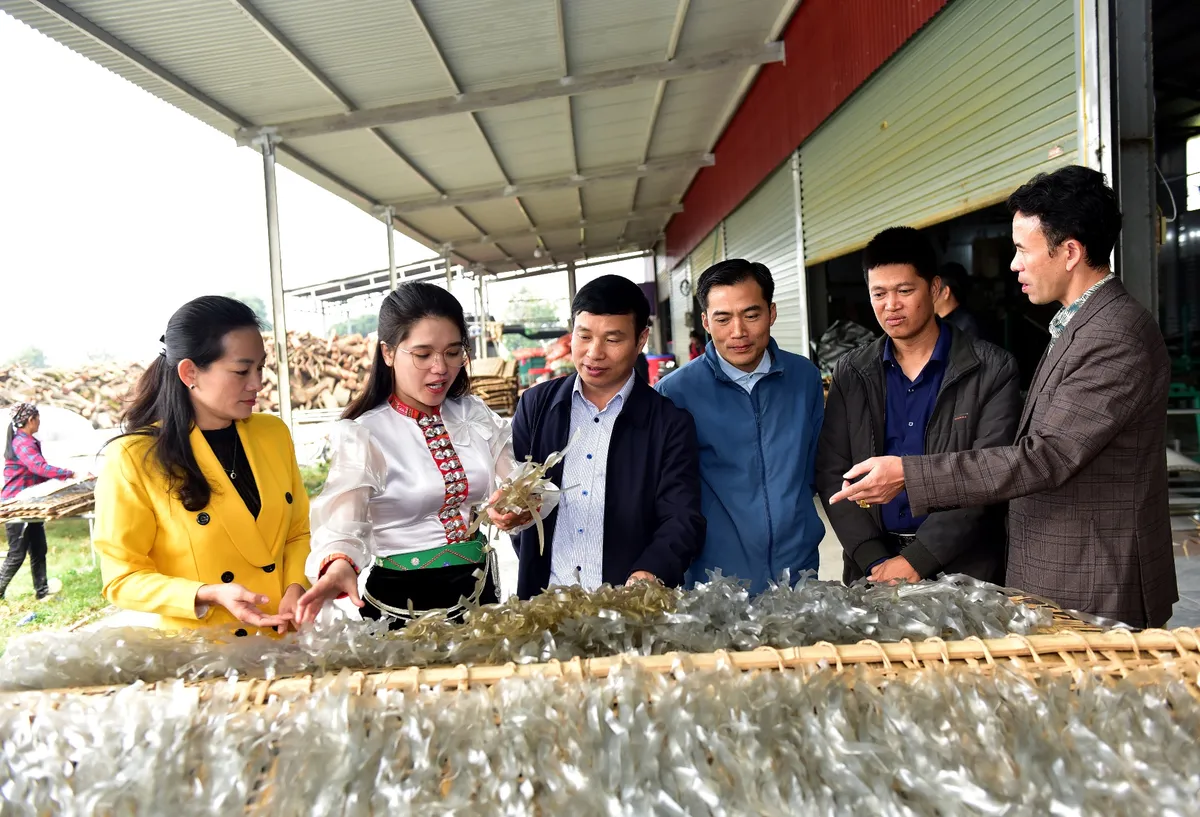 Khi c&ocirc;ng nghệ n&acirc;ng tầm sản phẩm OCOP Lai Ch&acirc;u - Ảnh 16.