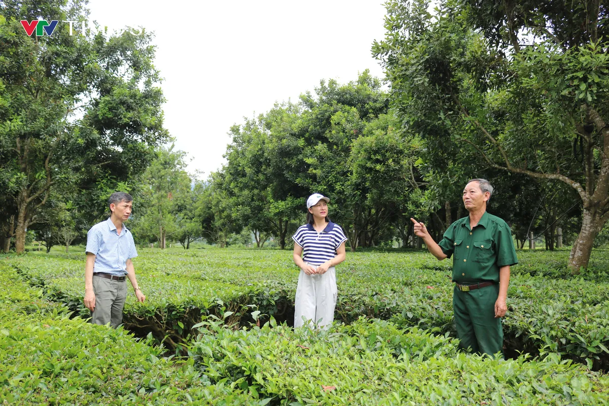 Khi công nghệ nâng tầm sản phẩm OCOP Lai Châu - Ảnh 9.