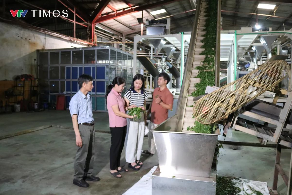 Khi công nghệ nâng tầm sản phẩm OCOP Lai Châu - Ảnh 2.