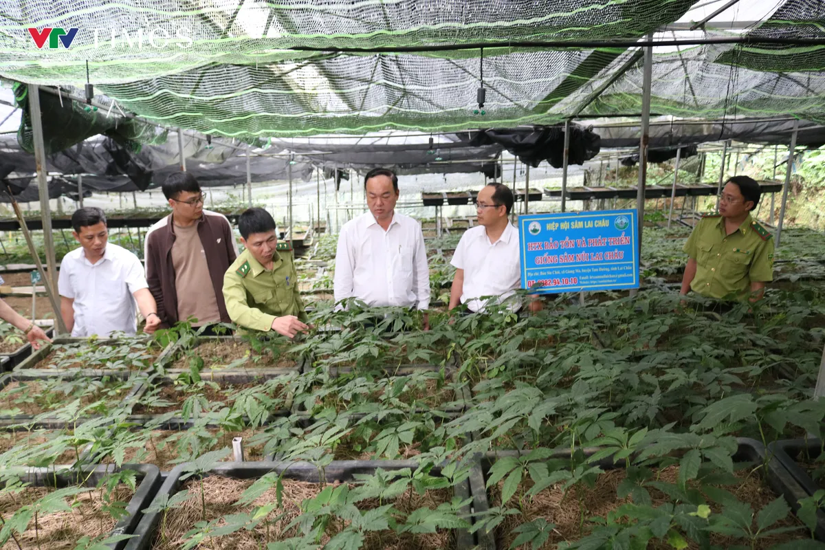 Khi công nghệ nâng tầm sản phẩm OCOP Lai Châu - Ảnh 6.