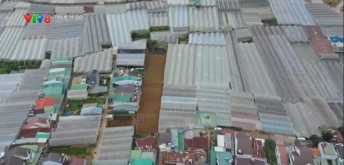 Vì sao khó phá bỏ nhà kính ở đô thị Đà Lạt?- Ảnh 3. Vì sao khó phá bỏ nhà kính ở đô thị Đà Lạt?- Ảnh 3.