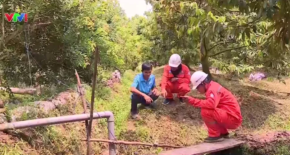 Triều cường dâng cao, cảnh giác nguy cơ rò điện, điện giật- Ảnh 1.