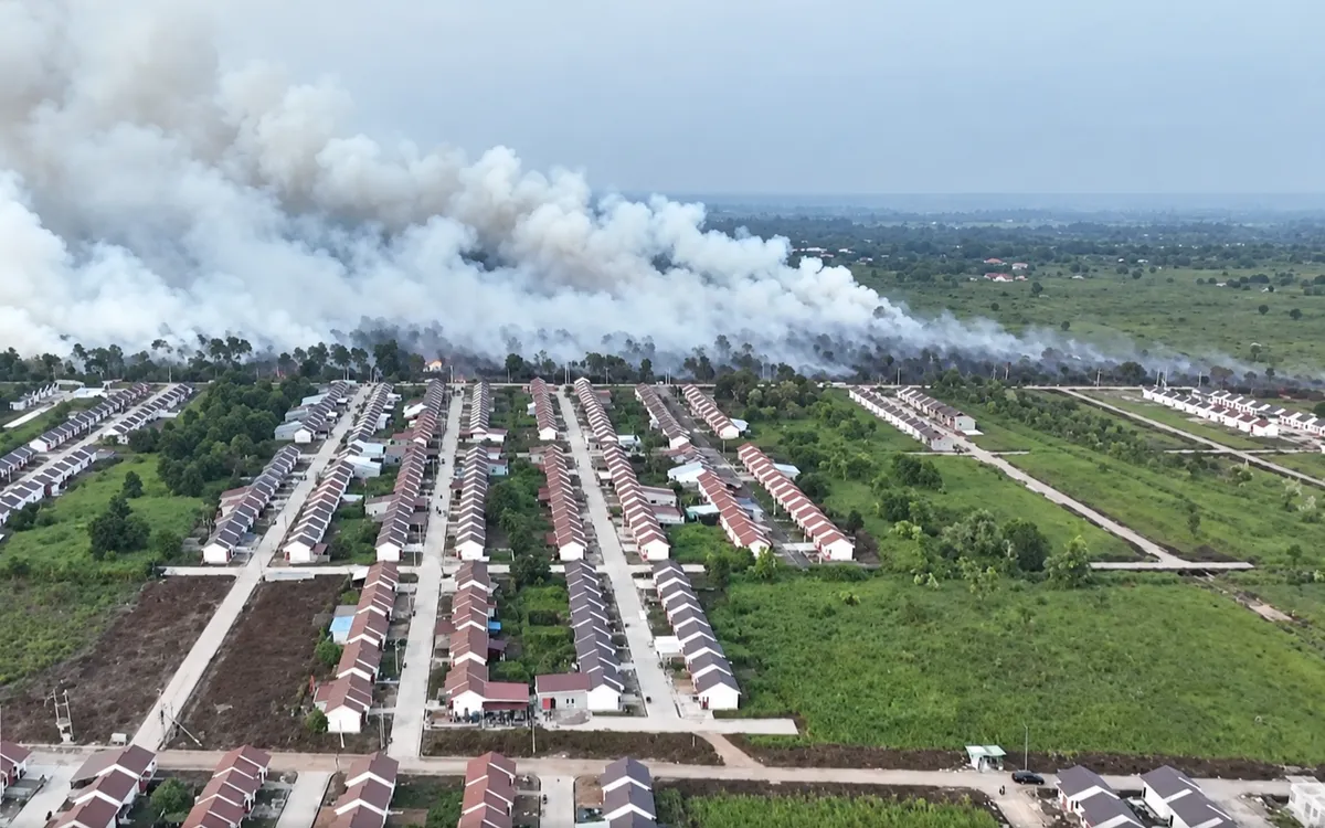 (Ảnh chụp màn hình)