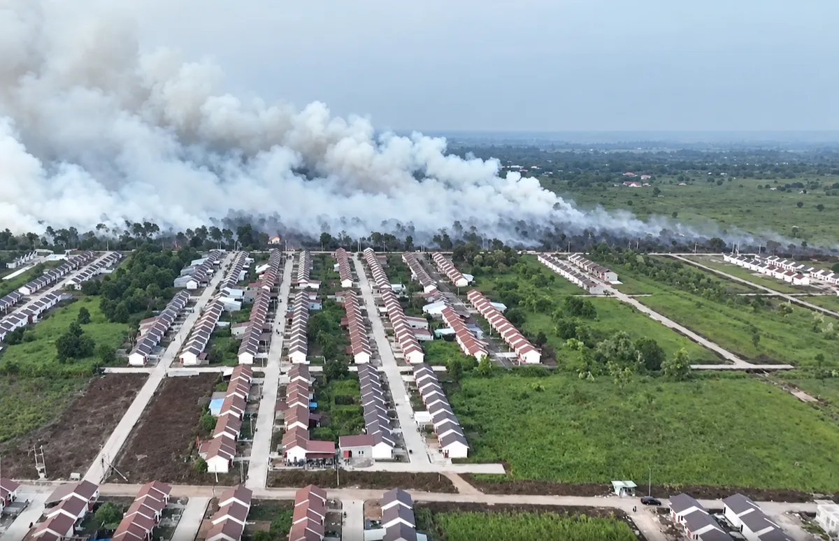 Indonesia xem xét tăng chế tài với hành vi gây cháy rừng- Ảnh 1.