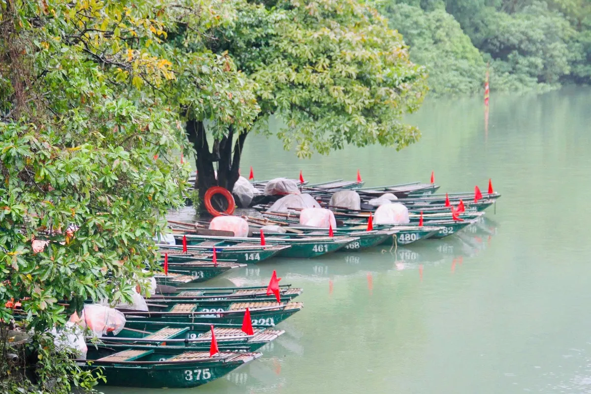 Ninh Bình giữ thế chủ động trước mưa lũ - Ảnh 8.