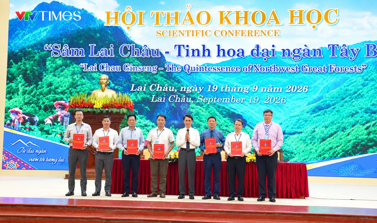 Sâm Lai Châu – Từ nguồn gen quý đến sản phẩm có giá trị cao - Ảnh 12.