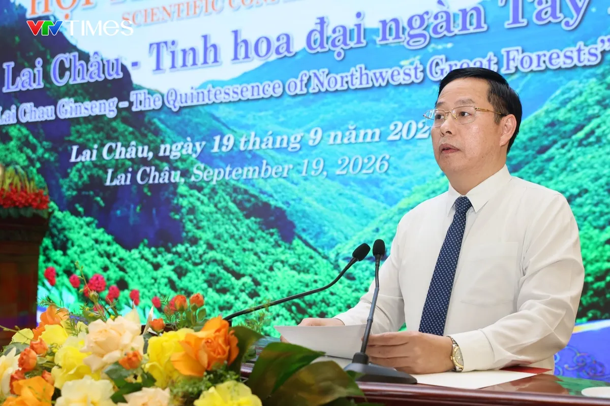 Sâm Lai Châu – Từ nguồn gen quý đến sản phẩm có giá trị cao - Ảnh 2.