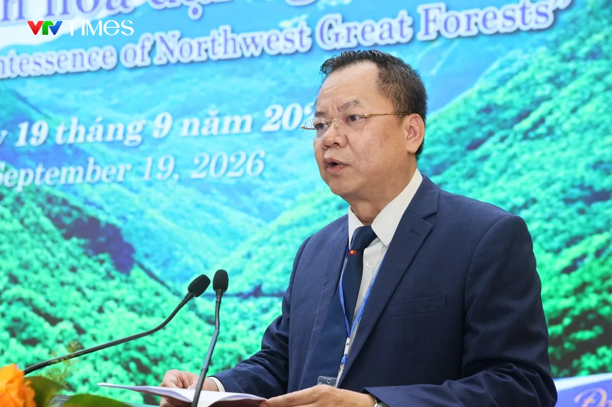 Sâm Lai Châu – Từ nguồn gen quý đến sản phẩm có giá trị cao - Ảnh 5.