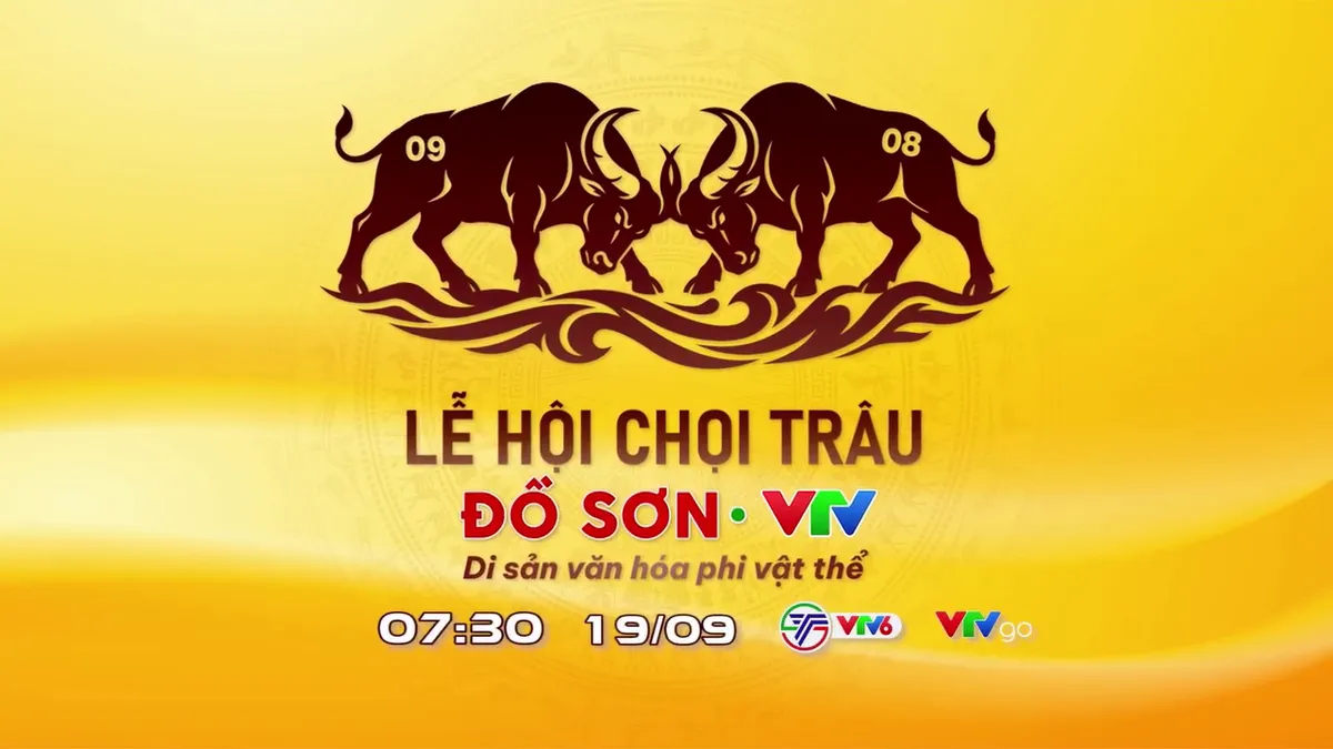TRỰC TIẾP Chung kết Lễ hội chọi trâu Đồ Sơn - VTV 2026- Ảnh 1.