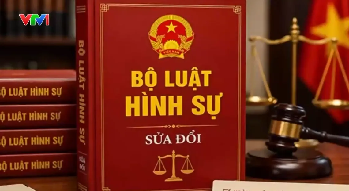 Hơn 800.000 lượt ý kiến đóng góp cho Dự thảo Bộ luật Hình sự (sửa đổi) - Ảnh 1.
