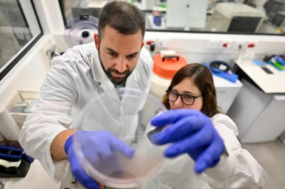 Israel: Phương pháp hạt nano mở hướng nghiên cứu mới trong điều trị ung thư- Ảnh 1.