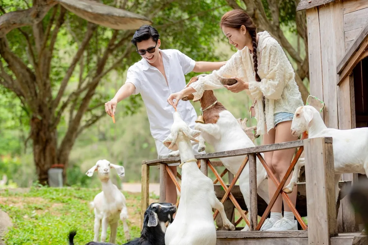 Kh&aacute;nh H&ograve;a đưa ti&ecirc;u ch&iacute; m&ocirc;i trường v&agrave;o hoạt động du lịch - Ảnh 2.