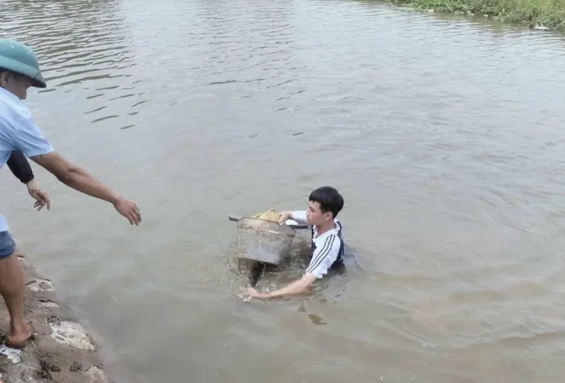 Nam sinh lớp 11 dũng cảm cứu hai em nhỏ rơi sông - Ảnh 1.