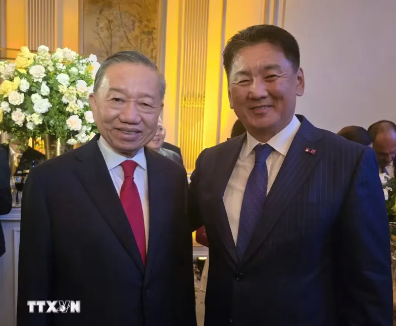 Tổng Bí thư, Chủ tịch nước Tô Lâm gặp Tổng thống Mông Cổ - Ảnh 2.