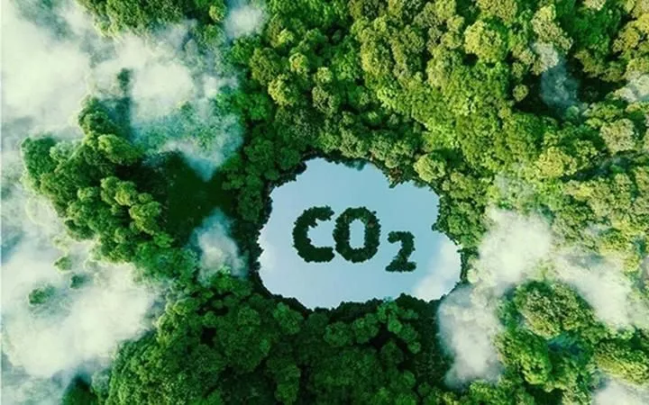 Việt Nam đã có kết quả chuyển nhượng tín chỉ carbon - Ảnh minh họa