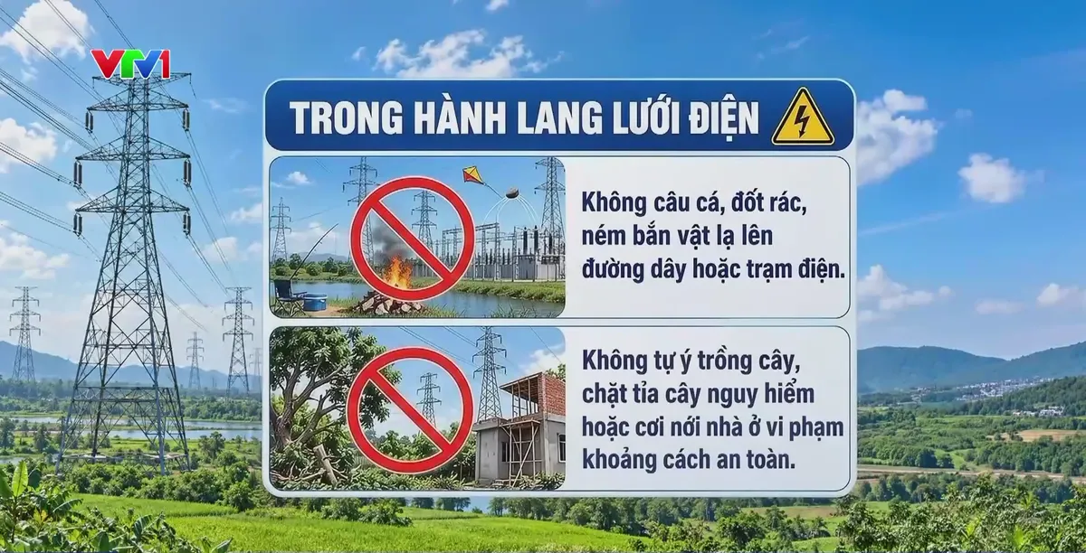 Cảnh báo nguy cơ từ vi phạm hành lang lưới điện cao áp - Ảnh 2.