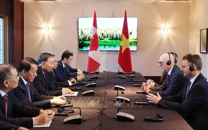 Tổng Bí thư, Chủ tịch nước Tô Lâm tiếp Giáo sư Graham Carr, Hiệu trưởng Trường Đại học Concordia. Ảnh: TTXVN