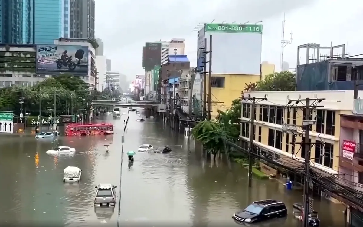 (Ảnh chụp màn hình)