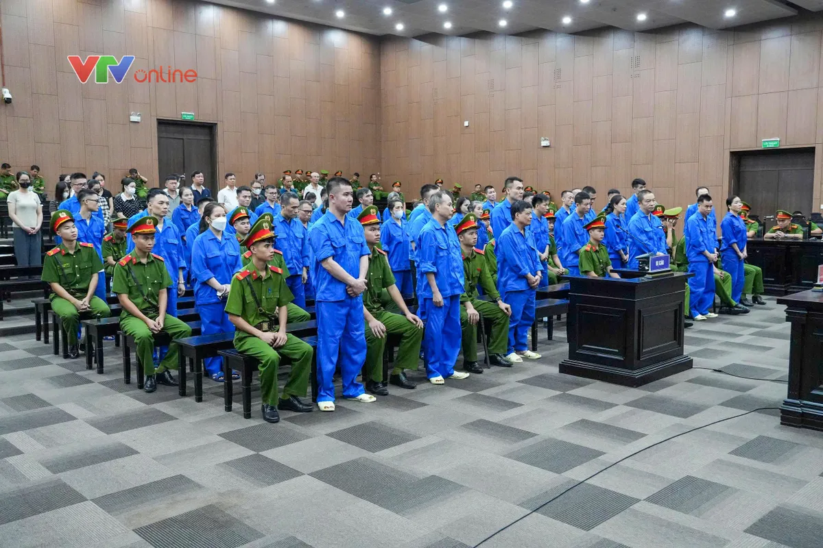 Vụ Viện Pháp y tâm thần Trung ương: "Bà trùm" Mai Anh lĩnh án 30 năm tù - Ảnh 1.